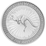 Australian Silver Kangaroo